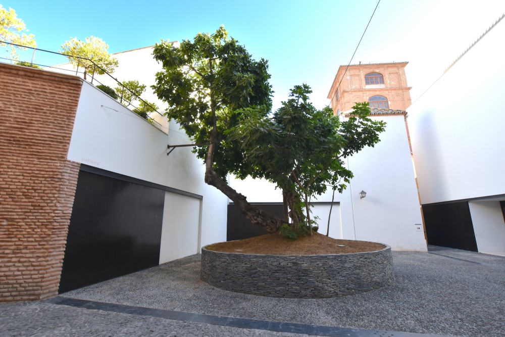 Picasso museum urbanism malaga